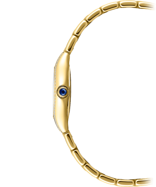 Noemia Ladies Quartz Gold PVD Watch, 24 mm